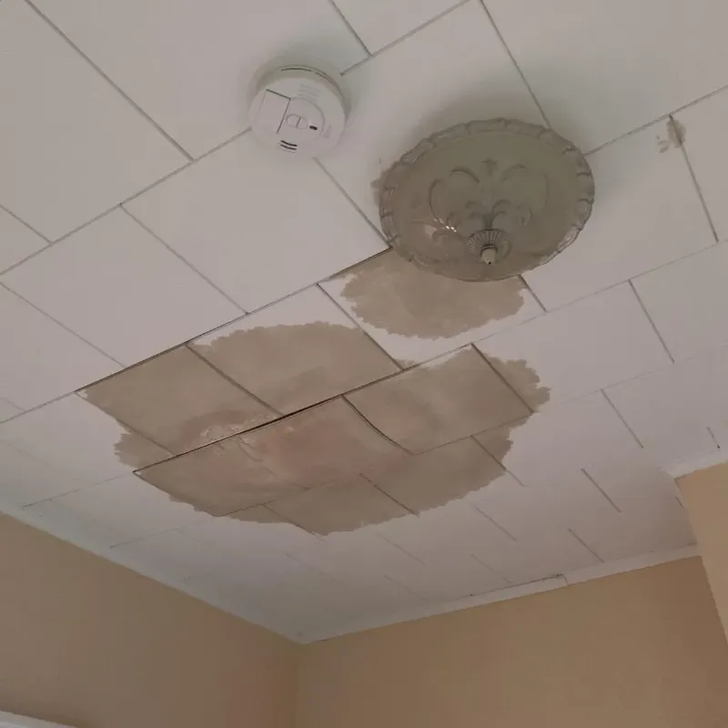 Ceiling Water Damage Repair in Dodge County, NE