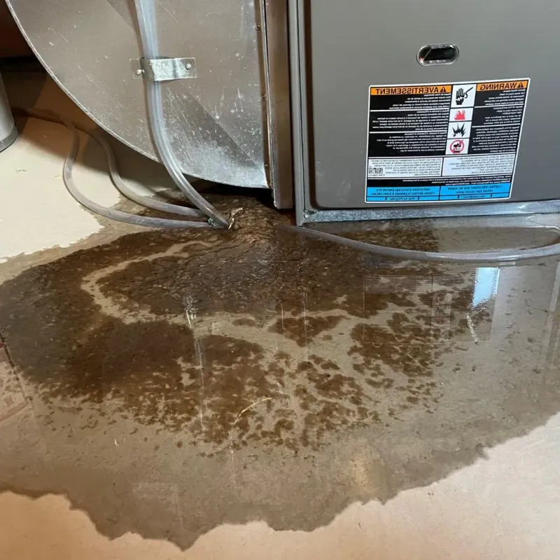 Pipe Burst and Leak Restoration in Dodge County, NE